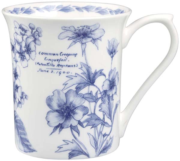 Mug Potentilla